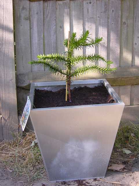 Picture 016.jpg